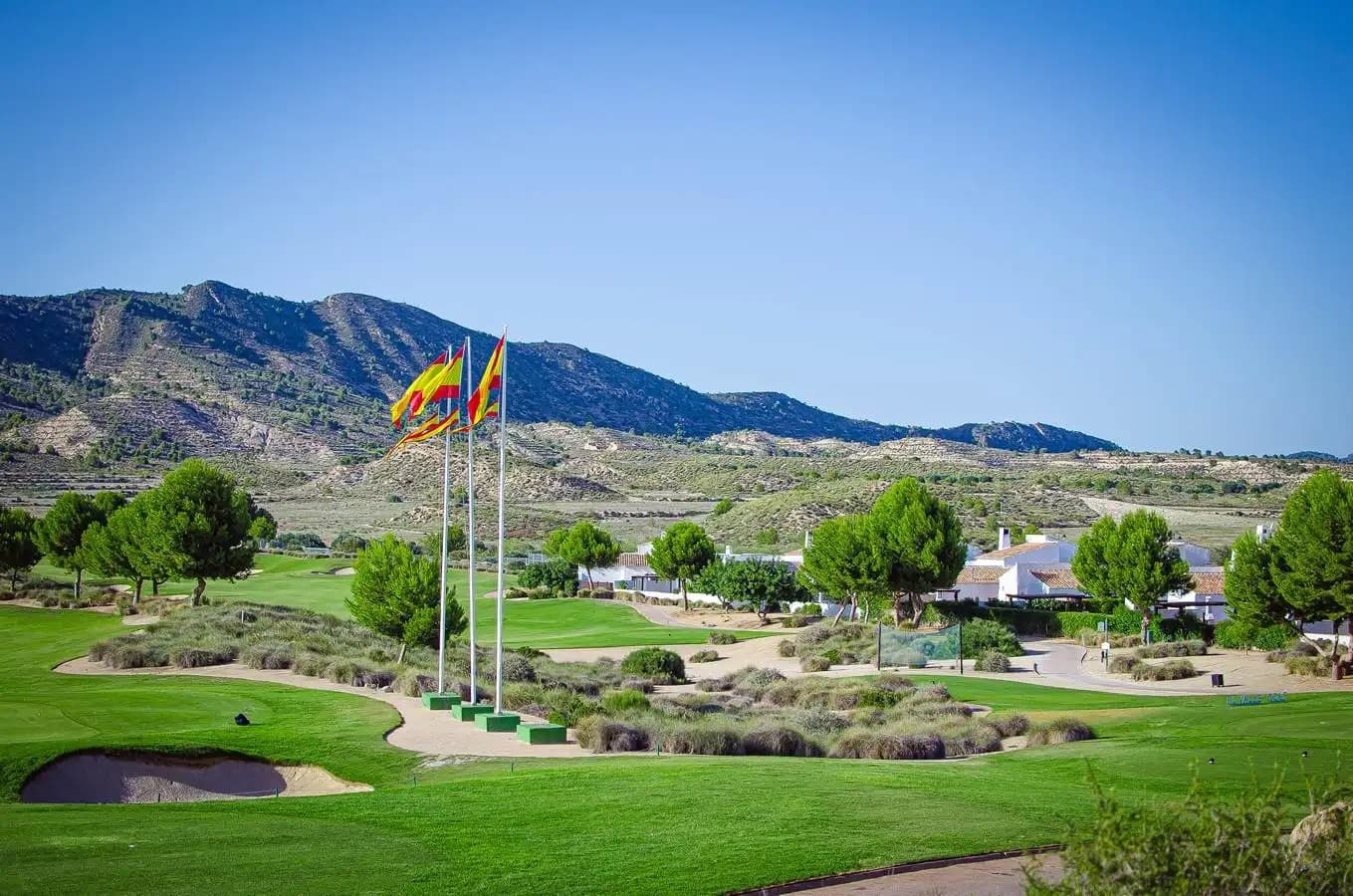Championship Golf